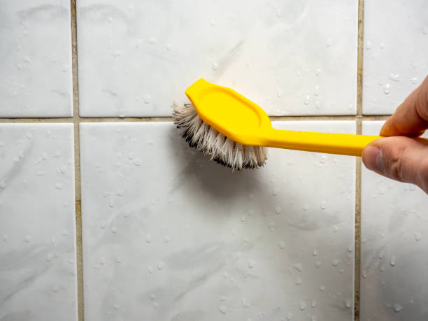 Best Best Mold Removal Companies  in Newport Beach, CA