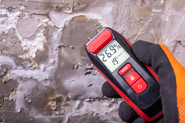 Best Mold Damage Repair  in Newport Beach, CA