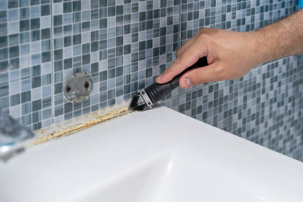 Trusted Newport Beach, CA Mold Removal Experts